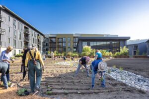 Residents and team members planting in the kitchen garden